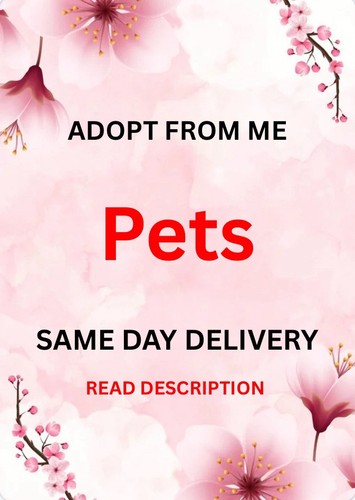 Adopt from p3ts - adopt,