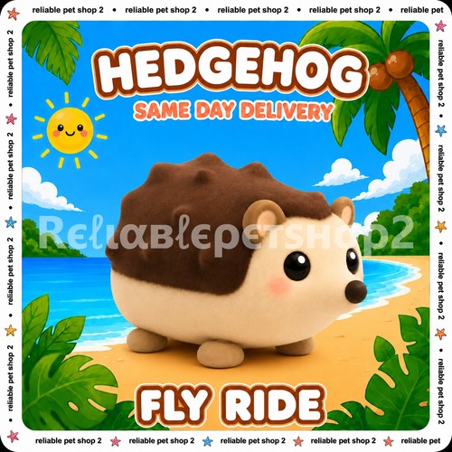 Hedgehog adopt from - fr,